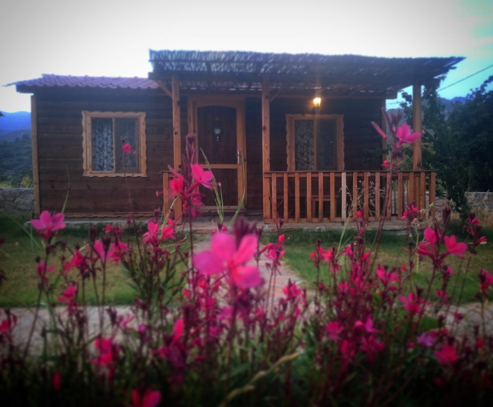 Ipekce Tatil Evleri Mesudiye  Exterior photo