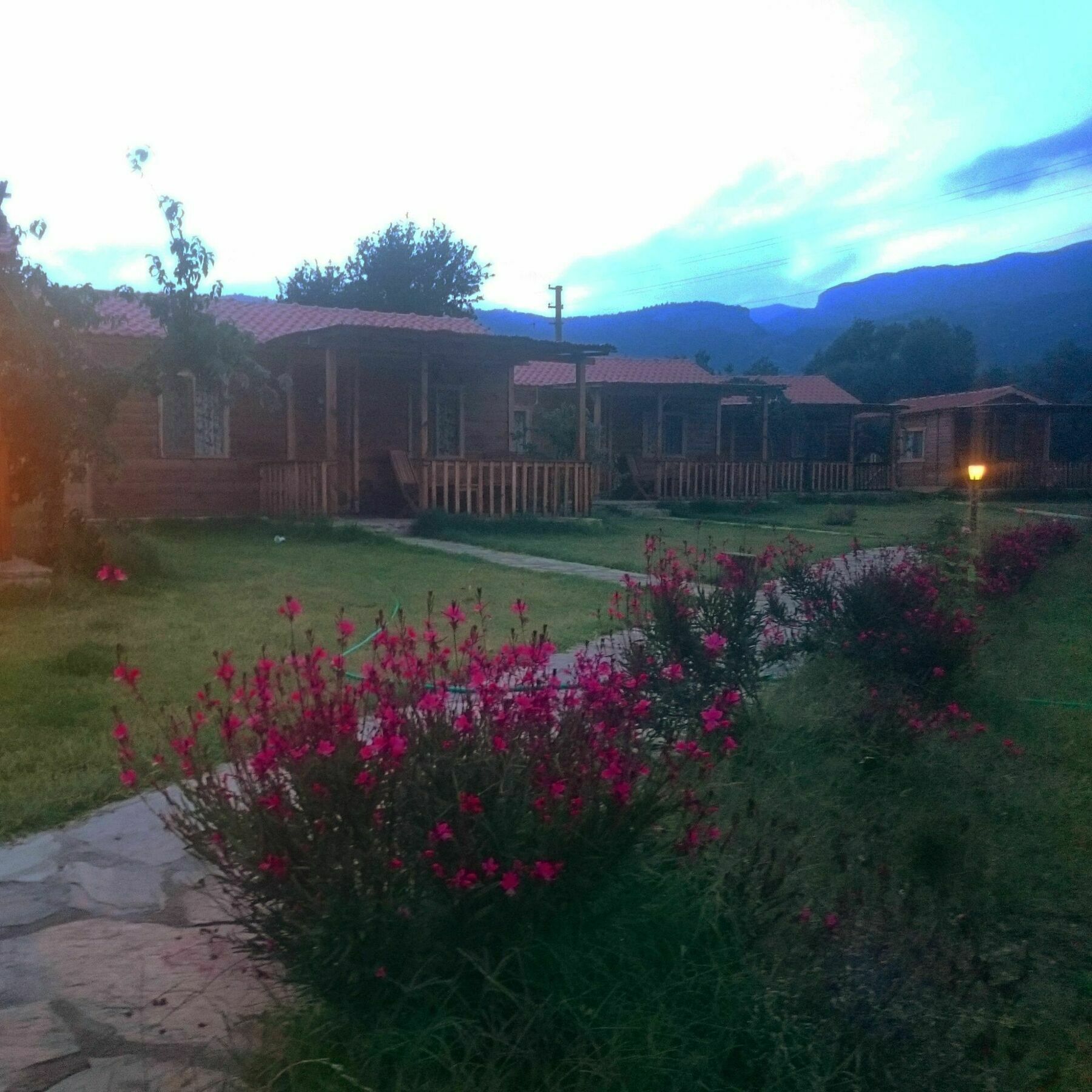 Ipekce Tatil Evleri Mesudiye  Exterior photo